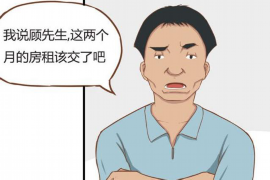通城企业清欠服务